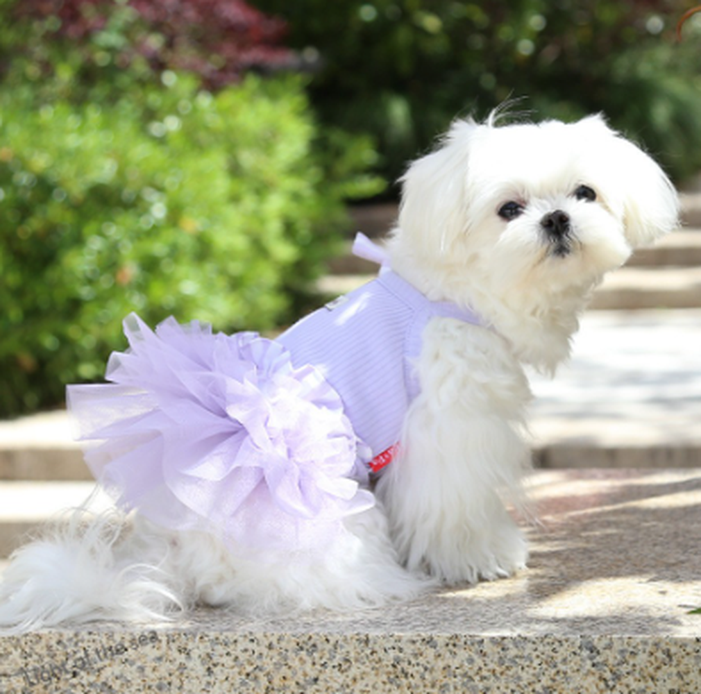 湘南ドッグ | 海と暮らす、愛犬のおしゃれ犬服ブランド